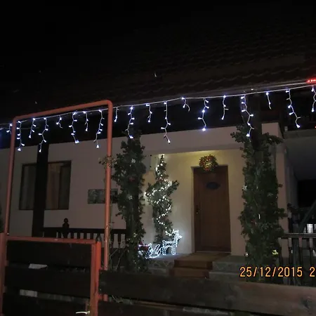 Casa Rosca Busteni